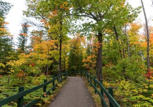 aventure-eco-parc-mauricie_photo_parc_4
